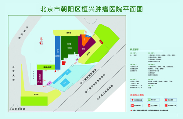 艹b视频网址北京市朝阳区桓兴肿瘤医院平面图